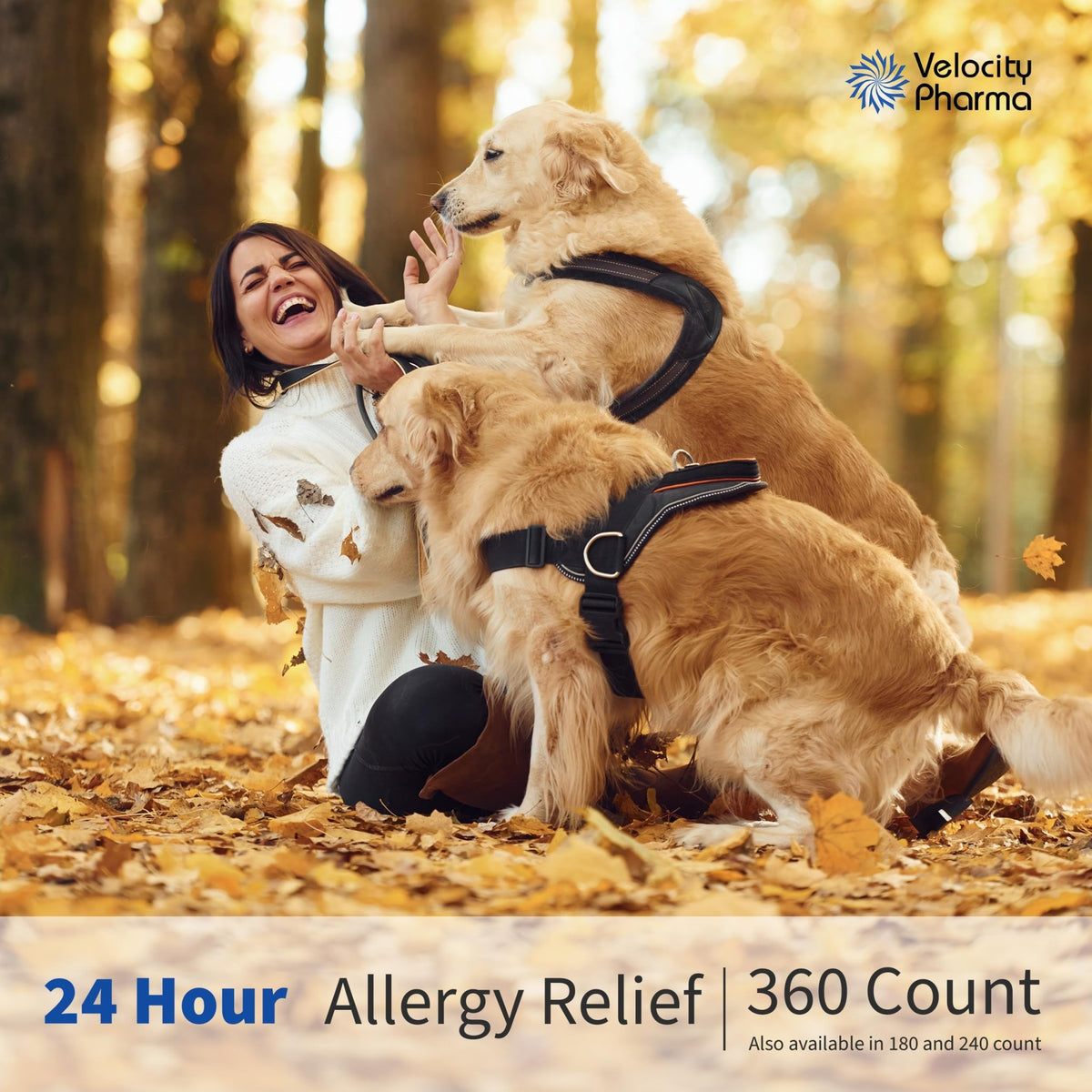 Velocity Pharma Levocetirizine Dihydrochloride 5mg USP Tablets, 24 Hour Allergy Relief Non-Drowsy Antihistamine, 360 Count - FENGGESTORE20