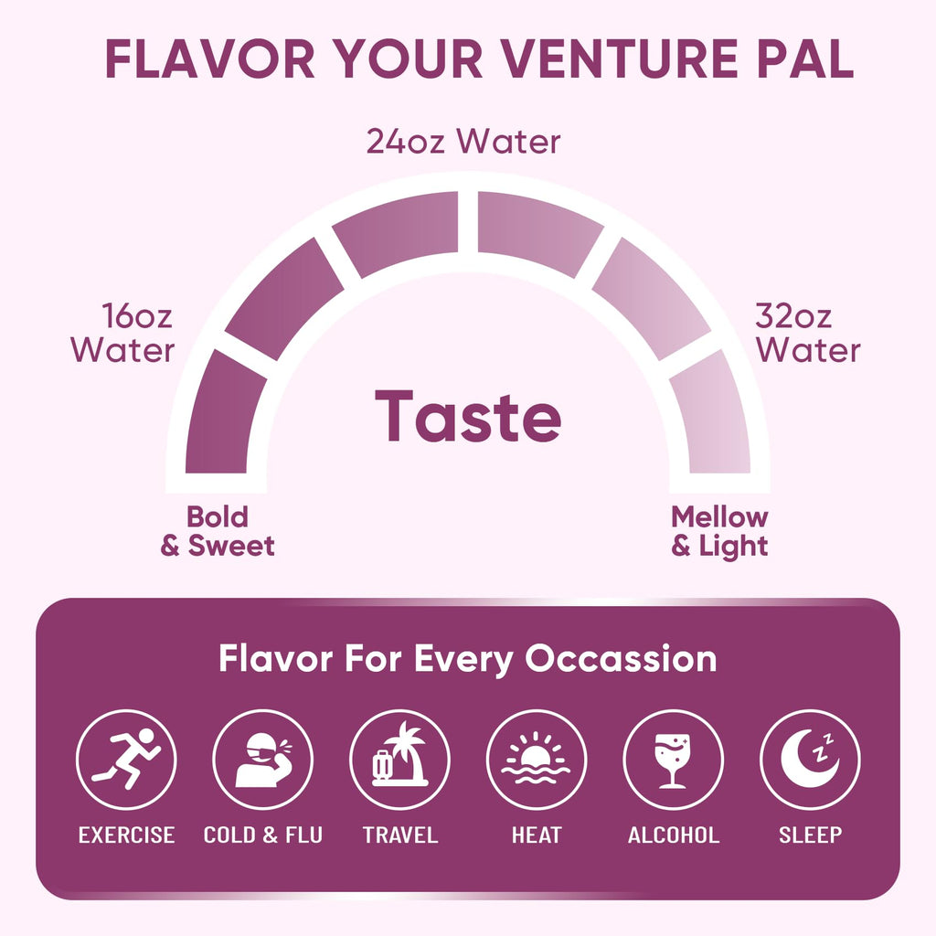 Venture Pal Sugar Free Electrolyte Powder Packets - Liquid Daily IV Drink Mix for Rapid Hydration & Party Recovery | 5 Vitamins & 7 Electrolytes| Keto Friendly - FENGGESTORE20