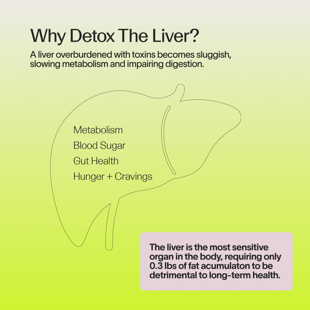 Veracity Metabolism Cleanse - 10 Day Liver Detox, Improves Fat Digestion, Optimizes Metabolism - Helps Regulate Hormones - Toxin Free, Gluten Free, Vegan - FENGGESTORE20