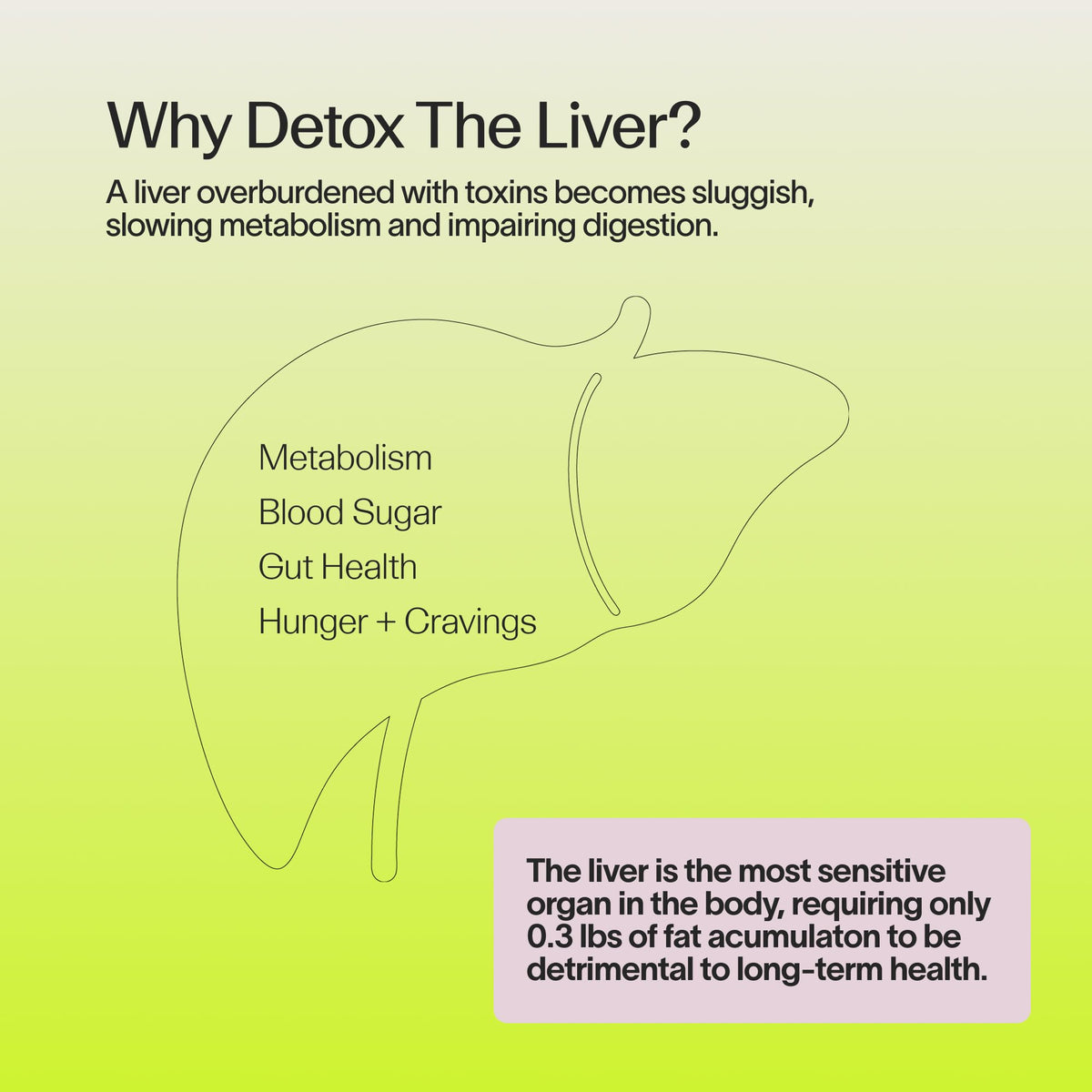 Veracity Metabolism Cleanse - 10 Day Liver Detox, Improves Fat Digestion, Optimizes Metabolism - Helps Regulate Hormones - Toxin Free, Gluten Free, Vegan - FENGGESTORE20