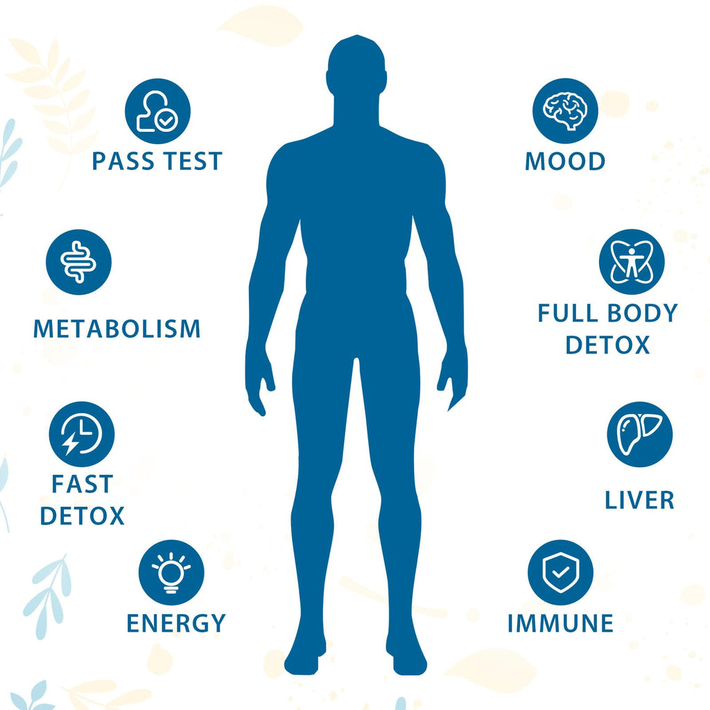 Verdanthus 31-in-ONE Detox and Liver Cleanser, Fast Detox, Full Body Detox, Toxins Cleaner for Liver, Kidney, Natural Herbal Formula - FENGGESTORE20