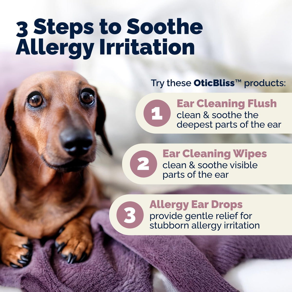 Vetnique Oticbliss Cat & Dog Ear Infection Treatment | Dog Ear Allergy Relief Drops, MicroSilver Yeast Infection Treatment for Dogs, Hydrocortisone for Itching, Redness Swelling (Ear Allergy Drops) - FENGGESTORE20