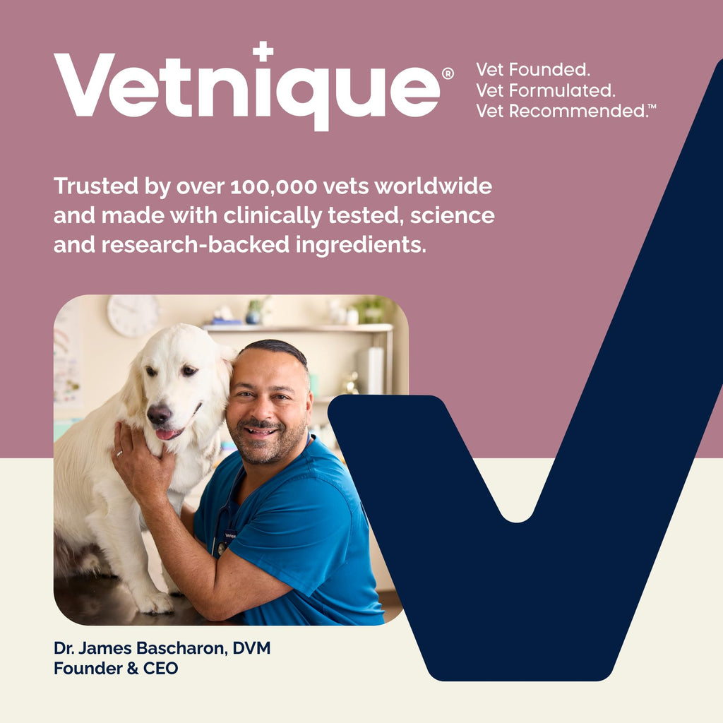 Vetnique Oticbliss Cat & Dog Ear Infection Treatment | Dog Ear Allergy Relief Drops, MicroSilver Yeast Infection Treatment for Dogs, Hydrocortisone for Itching, Redness Swelling (Ear Allergy Drops) - FENGGESTORE20