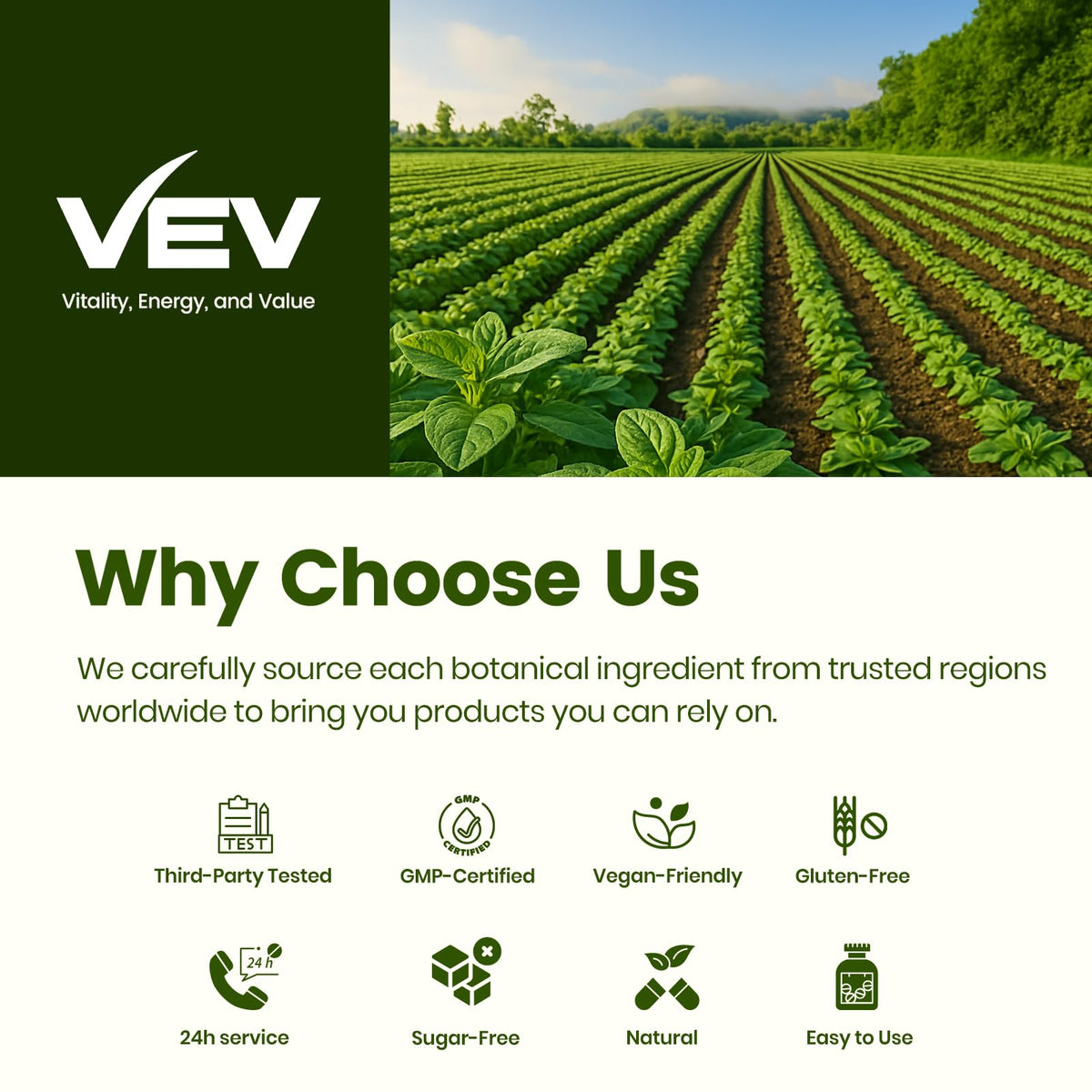 VEV Oil of Oregano with Black Seed Oil & Moringa, Organic, 300 Softgels, Aceite de Orégano, Carvacrol-Rich, Opaque Airtight Packaging - FENGGESTORE20