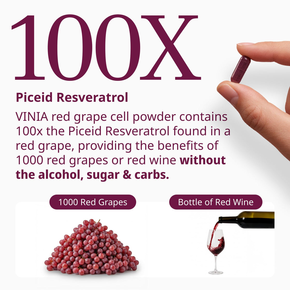 VINIA Piceid Resveratrol Supplement Capsules. Increases Blood Flow and Nitric Oxide. Blood Pressure and Heart Health Support - FENGGESTORE20