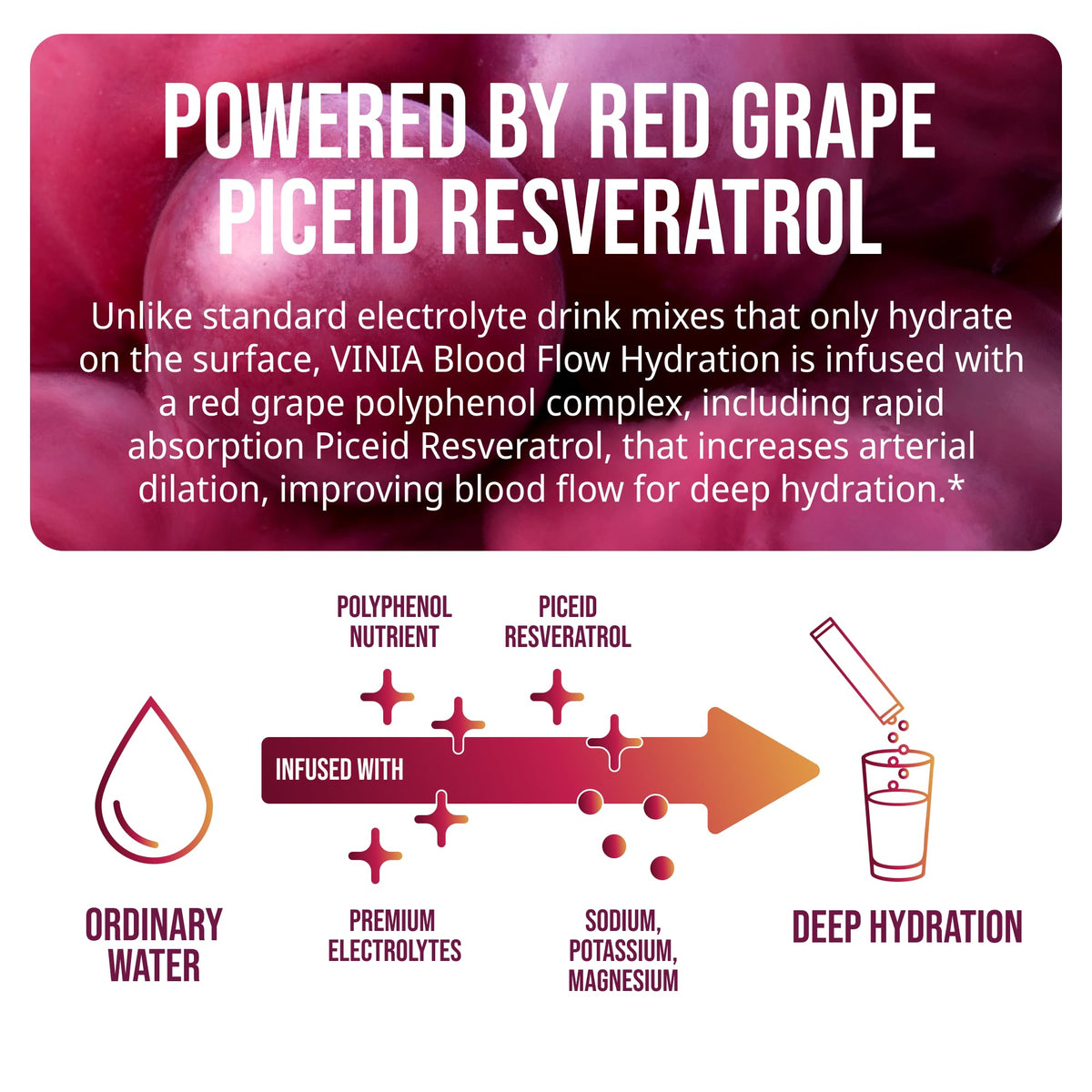 VINIA Resveratrol Electrolyte Hydration Powder Mix | Boost Blood Flow & Circulation | Sea Salt, Coconut Water Potassium, Magnesium, Informed Sport Certified - FENGGESTORE20