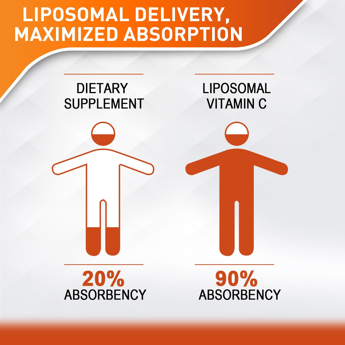 Vitablosom Liposomal Vitamin C 2000mg Liquid for Adults, High Absorption VIT C, Maximize Vitamin C, Immune System & Antioxidant Support, 60ML (2 Bottle) - FENGGESTORE20
