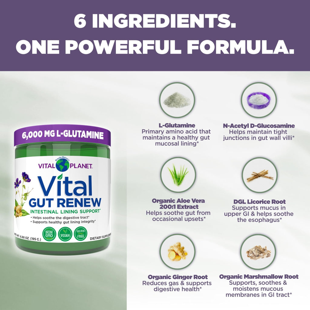 Vital Planet - Vital Gut Renew Powder Supplement for Leaky Gut Repair with L-Glutamine, Marshmallow and Ginger Root, DGL Licorice Root and Organic - FENGGESTORE20