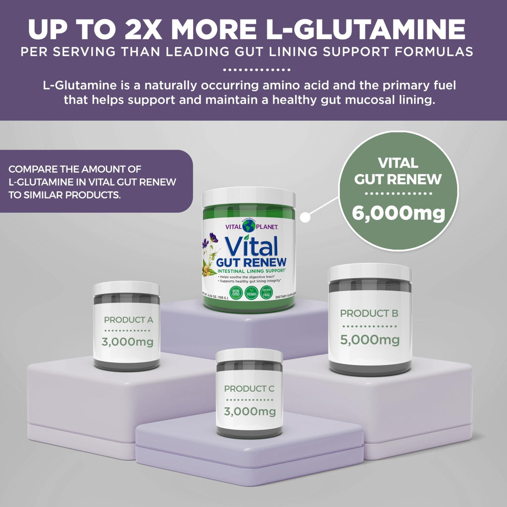Vital Planet - Vital Gut Renew Powder Supplement for Leaky Gut Repair with L-Glutamine, Marshmallow and Ginger Root, DGL Licorice Root and Organic - FENGGESTORE20