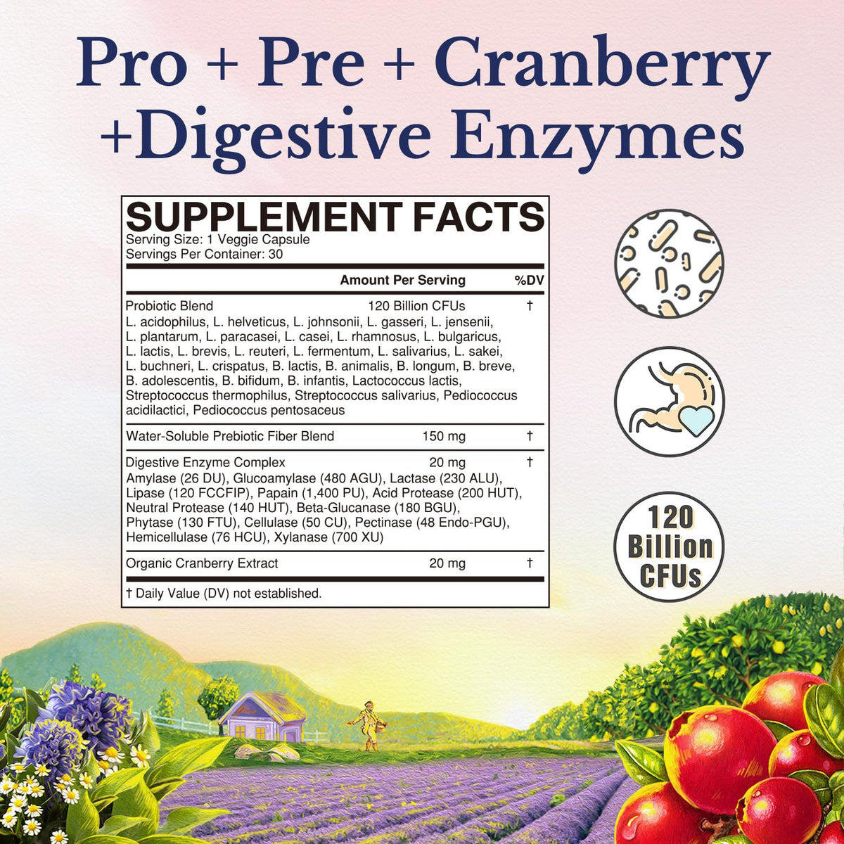 Vitalitown Probiotics for Women 120 Billion CFUs, 30 Strains, with Prebiotics & Digestive Enzymes & Cranberry, Gut & Vaginal Health, Vegan 30 - FENGGESTORE20