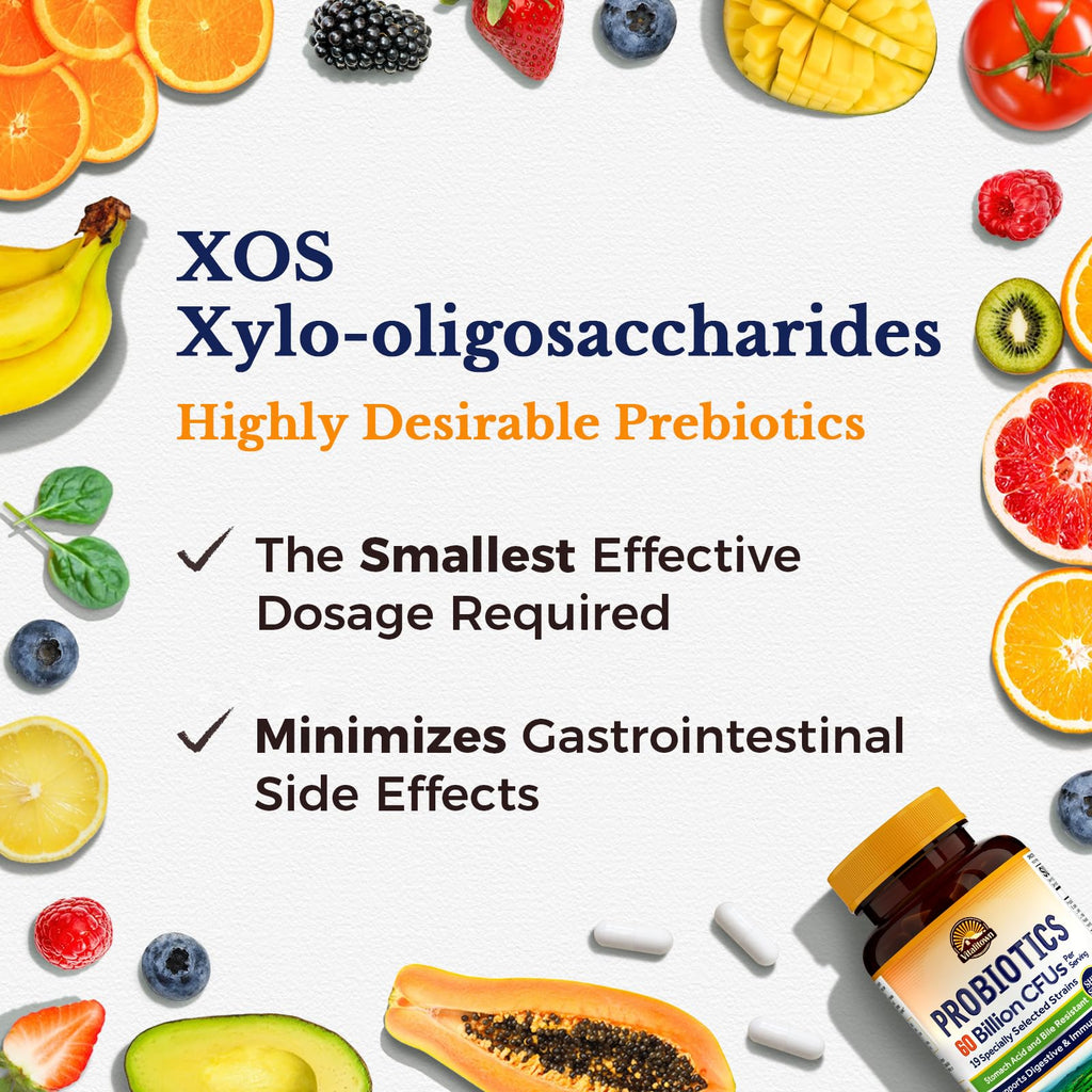 Vitalitown Probiotics + Prebiotics | 60 Billion CFUs 19 Strains | 60 Delayed Release Veg Caps | Shelf Stable, Prebiotics and Probiotics | Digestive Health - FENGGESTORE20