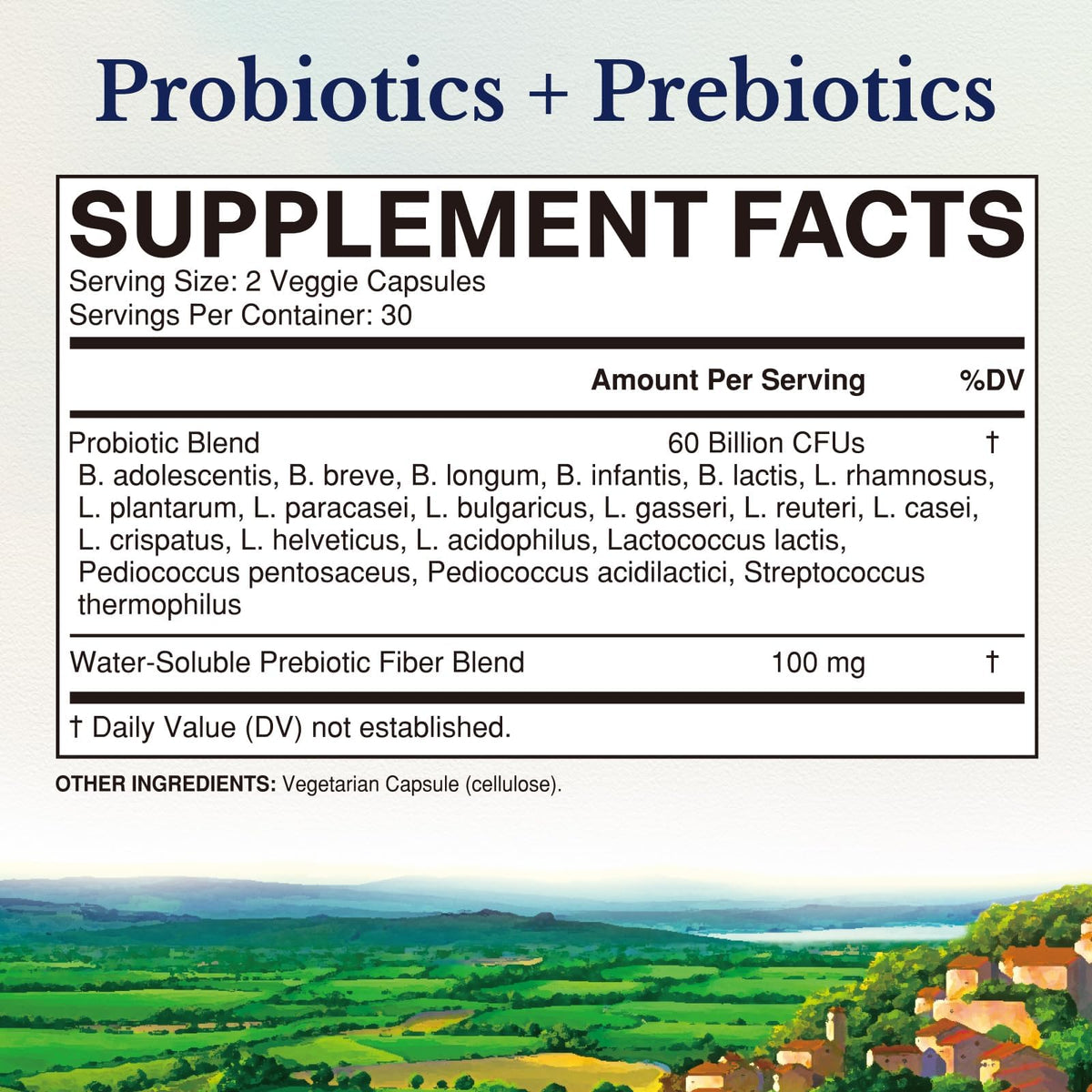 Vitalitown Probiotics + Prebiotics | 60 Billion CFUs 19 Strains | 60 Delayed Release Veg Caps | Shelf Stable, Prebiotics and Probiotics | Digestive Health - FENGGESTORE20