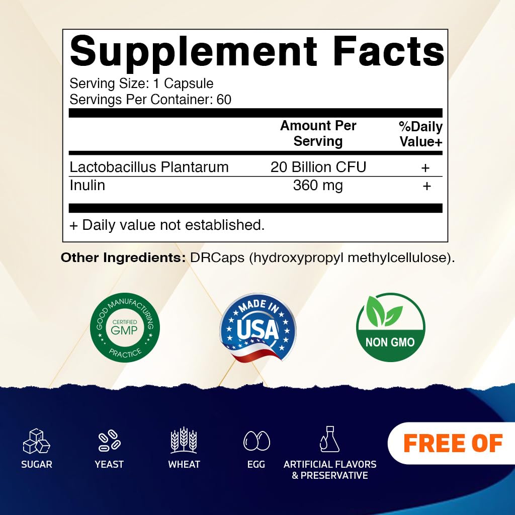 Vitamatic Lactobacillus Plantarum - 20 Billion per DR Capsule - 60 Count - Digestive Support - Made with Prebiotic Inulin Fiber - FENGGESTORE20