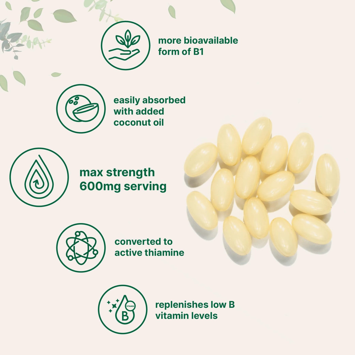 Vitamin B1 Benfotiamine 600mg Per Serving, 240 Coconut Oil Softgels | Bioavailable B Vitamins Supplement, Converted to Active Thiamine | Non-GMO, Soy Free - FENGGESTORE20