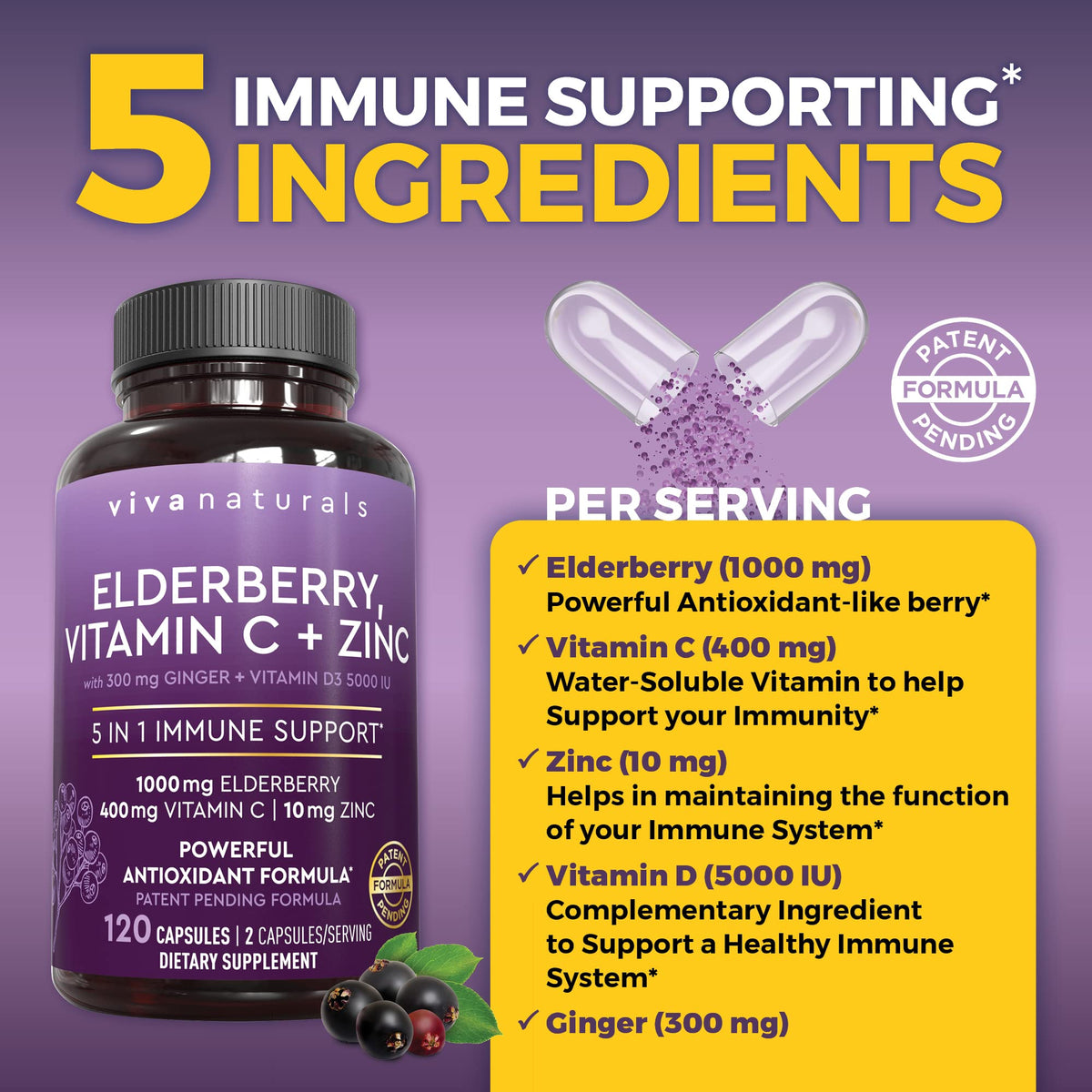 Viva Naturals Elderberry with Vitamin C and Zinc for Adults - 5 in 1 Sambucus Black Elderberry Capsules with Vitamin D3 5000 IU Immunity Supplement - FENGGESTORE20