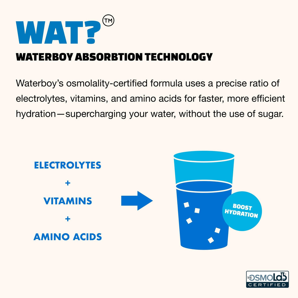 Waterboy Workout Hydration | 2,960mg Sugar Free Electrolyte Powder Packets | L-Glutamine + Vitamins | No Sugar, All Natural, Gluten Free - FENGGESTORE20