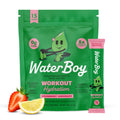 Waterboy Workout Hydration | 2,960mg Sugar Free Electrolyte Powder Packets | L-Glutamine + Vitamins | No Sugar, All Natural, Gluten Free - FENGGESTORE20
