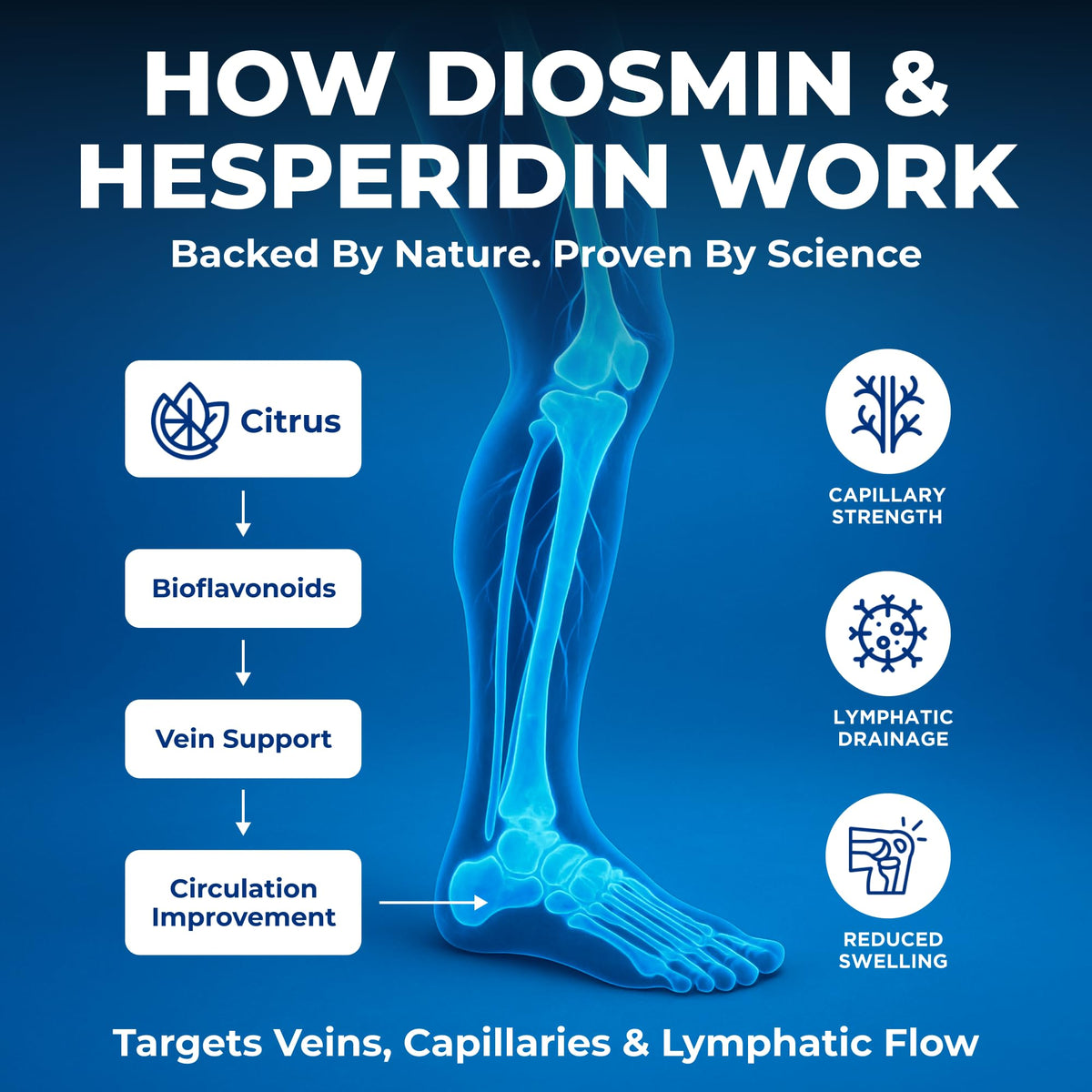 We Like Vitamins Diosmin Hesperidin 1000mg – 180 Capsules – 90 Day Supply - Diosmin and Hesperidin Supplement – Helps to Support Healthy Circulation, Veins, Capillaries, and Lymphatic Drainage - FENGGESTORE20