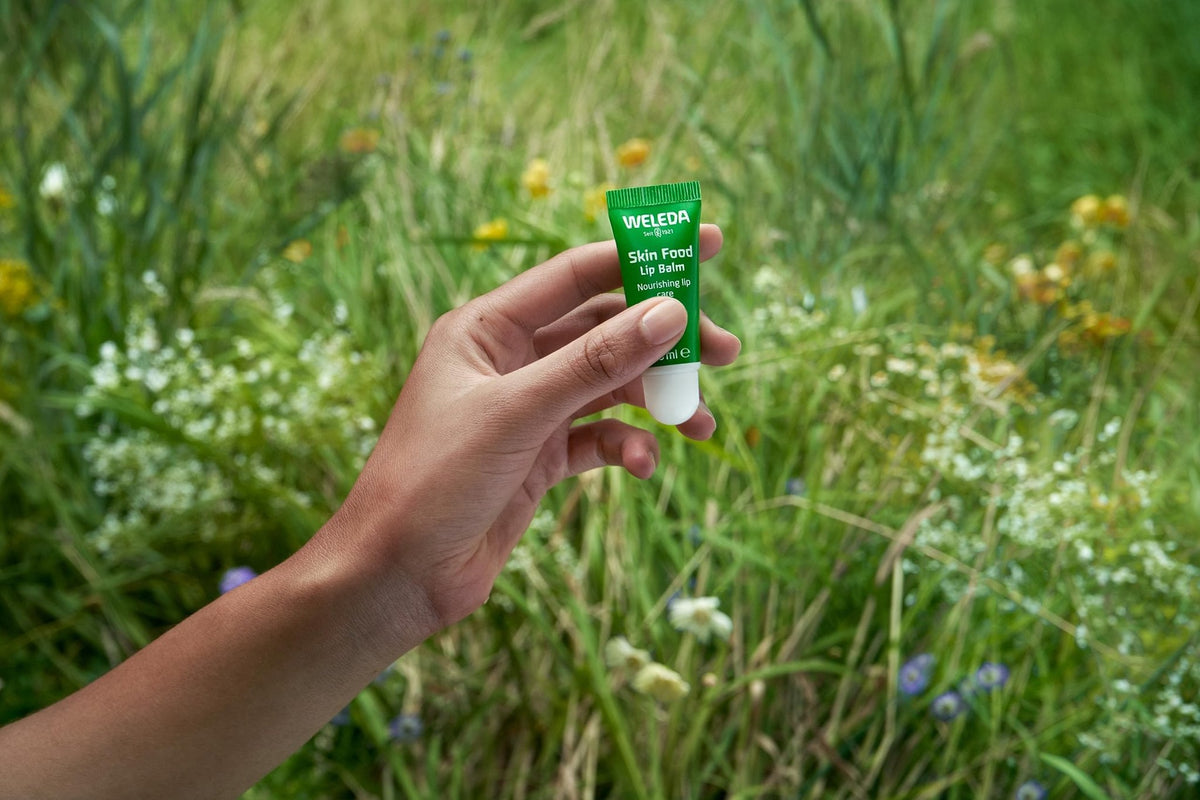 Weleda Skin Food Lip Butter, 0.27 Ounce, Plant Rich Moisturizing Lip Care with Sunflower Seed Oil, Chamomile and Calendula - FENGGESTORE20