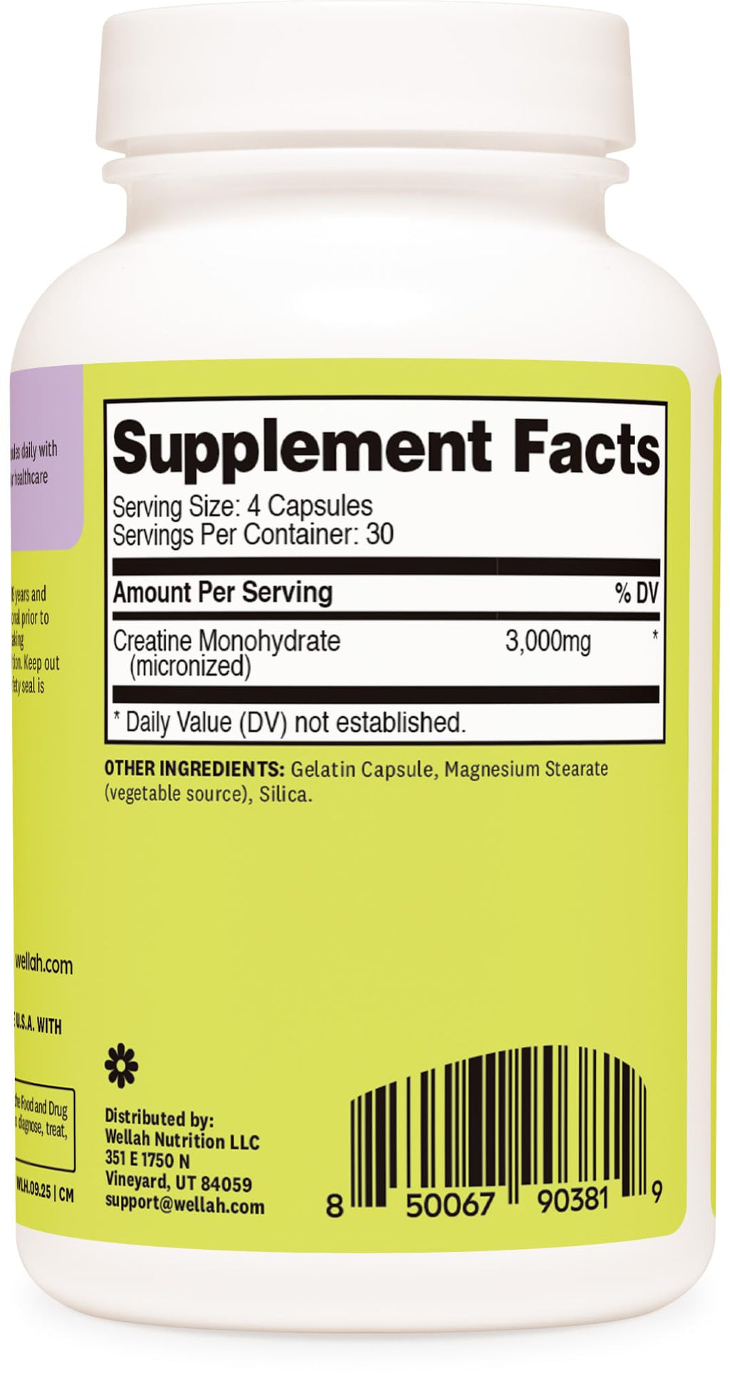 Wellah Creatine Monohydrate Capsules (3000 mg) 120 Capsules - Micronized Creatine, 30 Servings - FENGGESTORE20