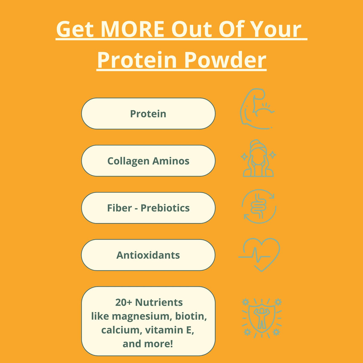 wellious Almond Protein Powder (Unflavored, Unsweetened) - 18 Grams of Pure Healthiest Vegan Protein for Women & Men | Soy-Free & Gut Friendly Protein - FENGGESTORE20