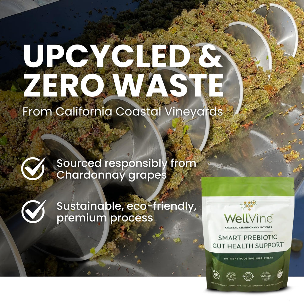 WellVine Premium Smart Prebiotic Gut Health Supplement Powder for Men & Women | Digestive Support & Gut Health With 100% Upcycled Chardonnay Grapes | Plant-Based - FENGGESTORE20