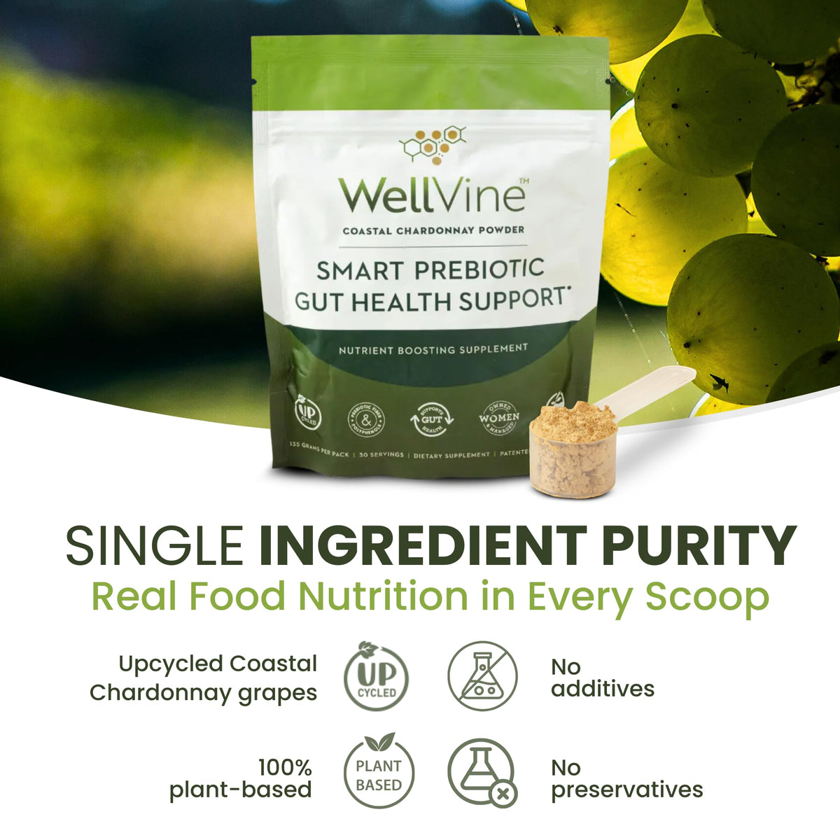 WellVine Premium Smart Prebiotic Gut Health Supplement Powder for Men & Women | Digestive Support & Gut Health With 100% Upcycled Chardonnay Grapes | Plant-Based - FENGGESTORE20