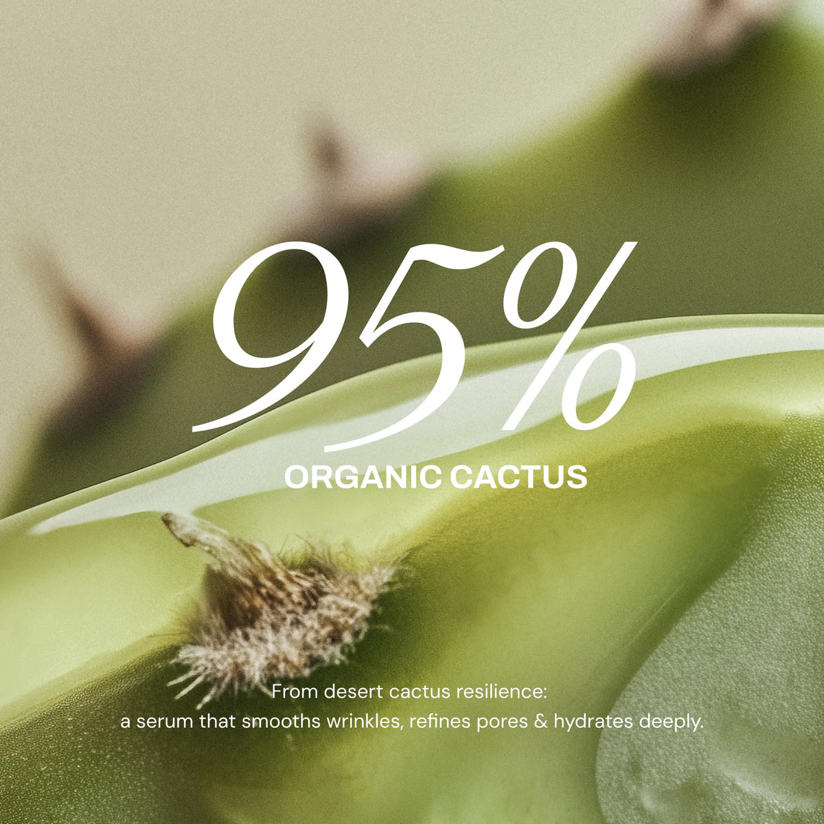 Whamisa Organic Cactus Magic Serum, Anti-Wrinkle & Brightening, Renewing Care, Skin Barrier Support, Fermented Ingredients, Hydrating, Facial Ampoule, Pore Refining, Korean Skin Care (32ml) - FENGGESTORE20