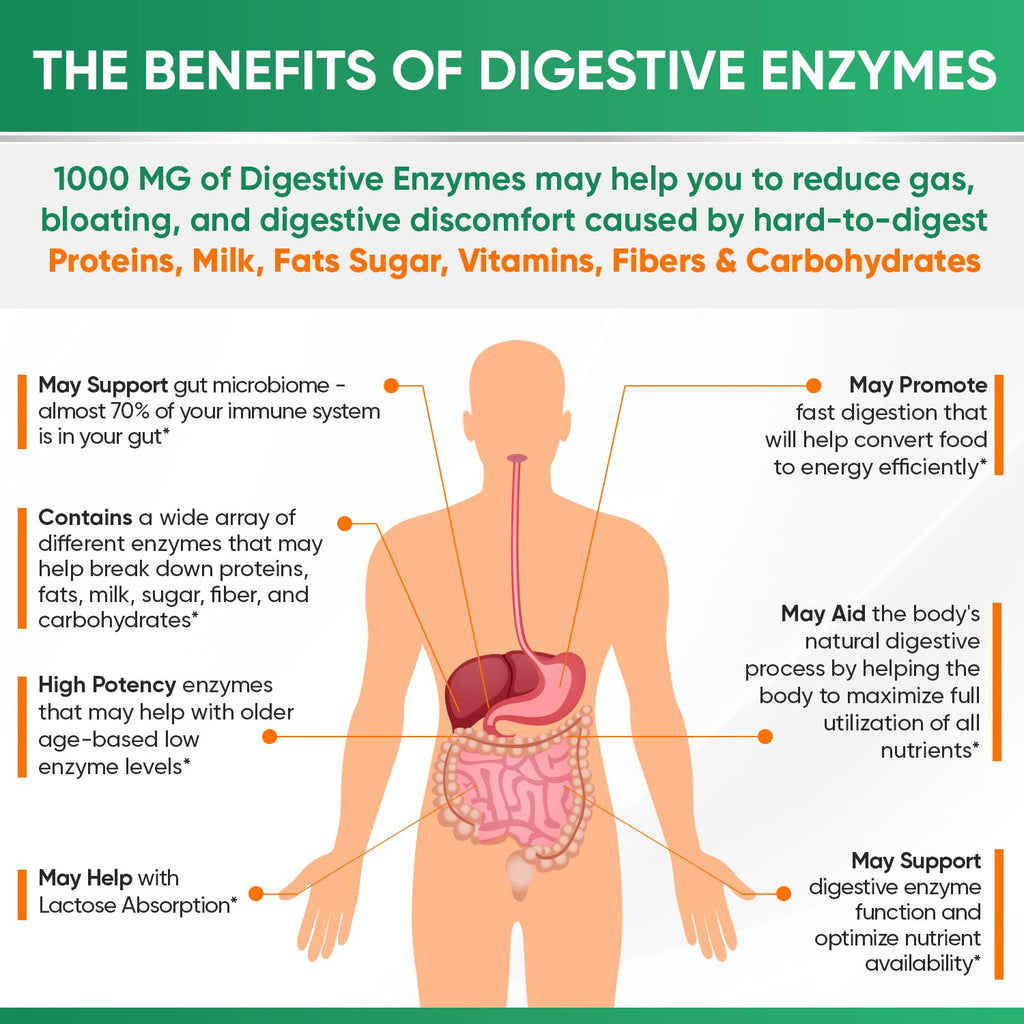 Wholesome Wellness Digestive Enzymes 1000MG Plus Prebiotics & Probiotics Supplement, 180 Capsules, Organic Plant-Based Vegan Formula for Digestion - FENGGESTORE20