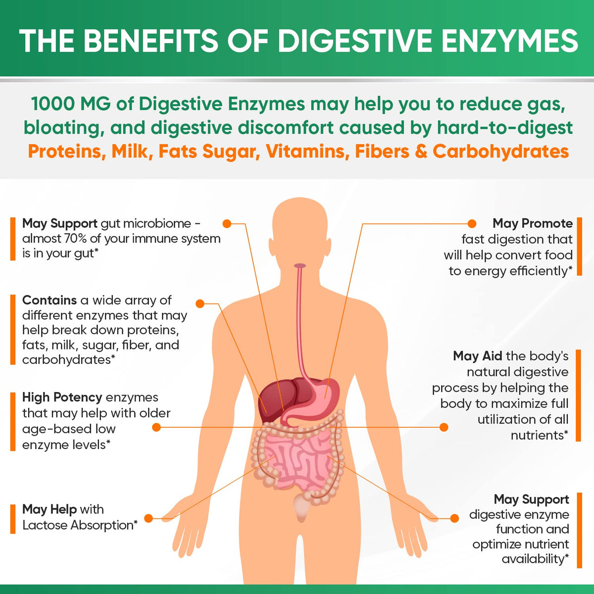 Wholesome Wellness Digestive Enzymes 1000MG Plus Prebiotics & Probiotics Supplement, 180 Capsules, Organic Plant-Based Vegan Formula for Digestion - FENGGESTORE20
