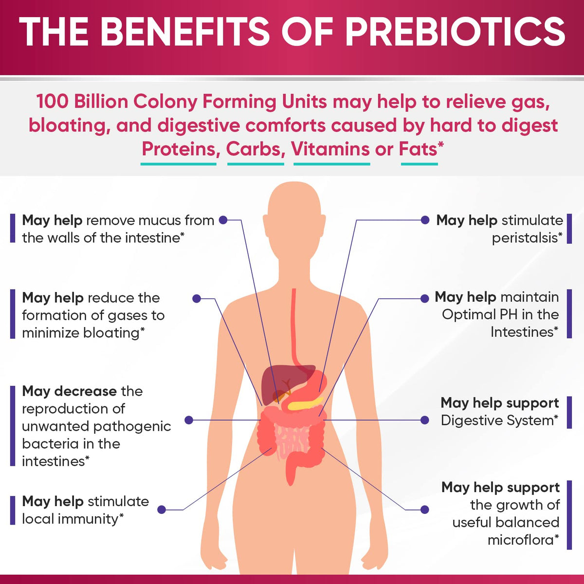 Wholesome Wellness Dr. Formulated Raw Probiotics for Women 100 Billion CFUs Capsules with Prebiotics, Digestive Enzymes - FENGGESTORE20