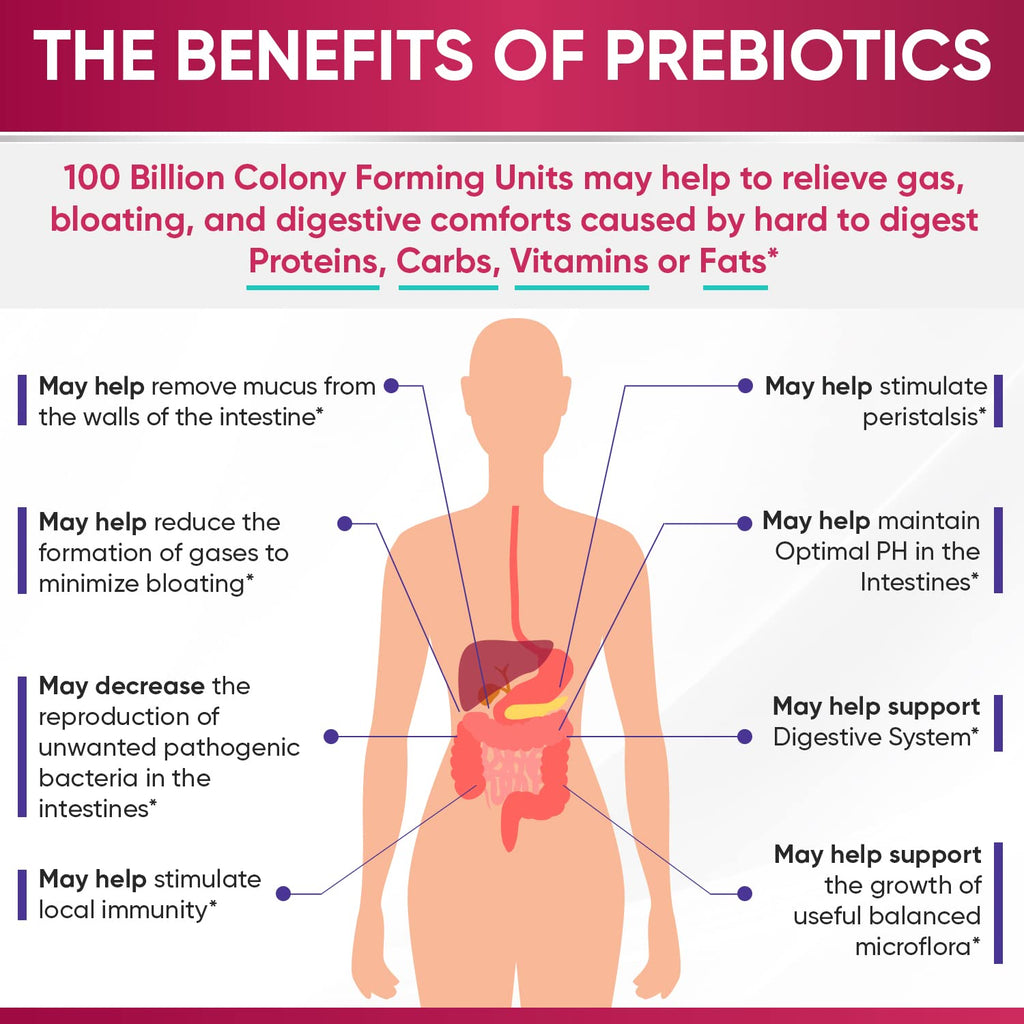 Wholesome Wellness Dr. Formulated Raw Probiotics for Women 100 Billion CFUs Capsules with Prebiotics, Digestive Enzymes, Approved for Adults, Shelf Stable Supplement - FENGGESTORE20