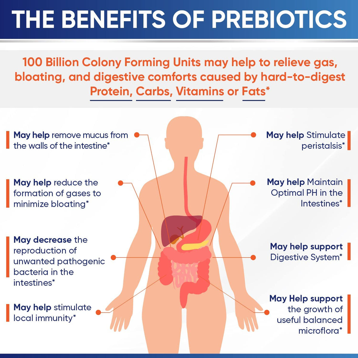 Wholesome Wellness Organic Raw Probiotics 100 Billion CFU, Dr Formulated for Women and Men, Complete Adult Supplement with Prebiotics - FENGGESTORE20