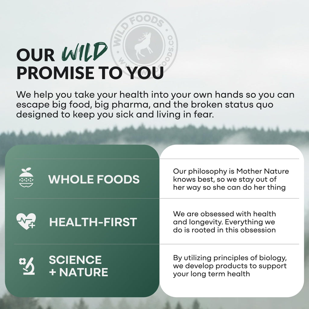 Wild Prebiotics and Probiotics with Digestive Enzymes | 20 Billion CFU - 10 Strains for Women & Men | Support Gut Health & Digestion Supplements | Non-GMO Prebiotic Fiber | 30 Capsules - FENGGESTORE20