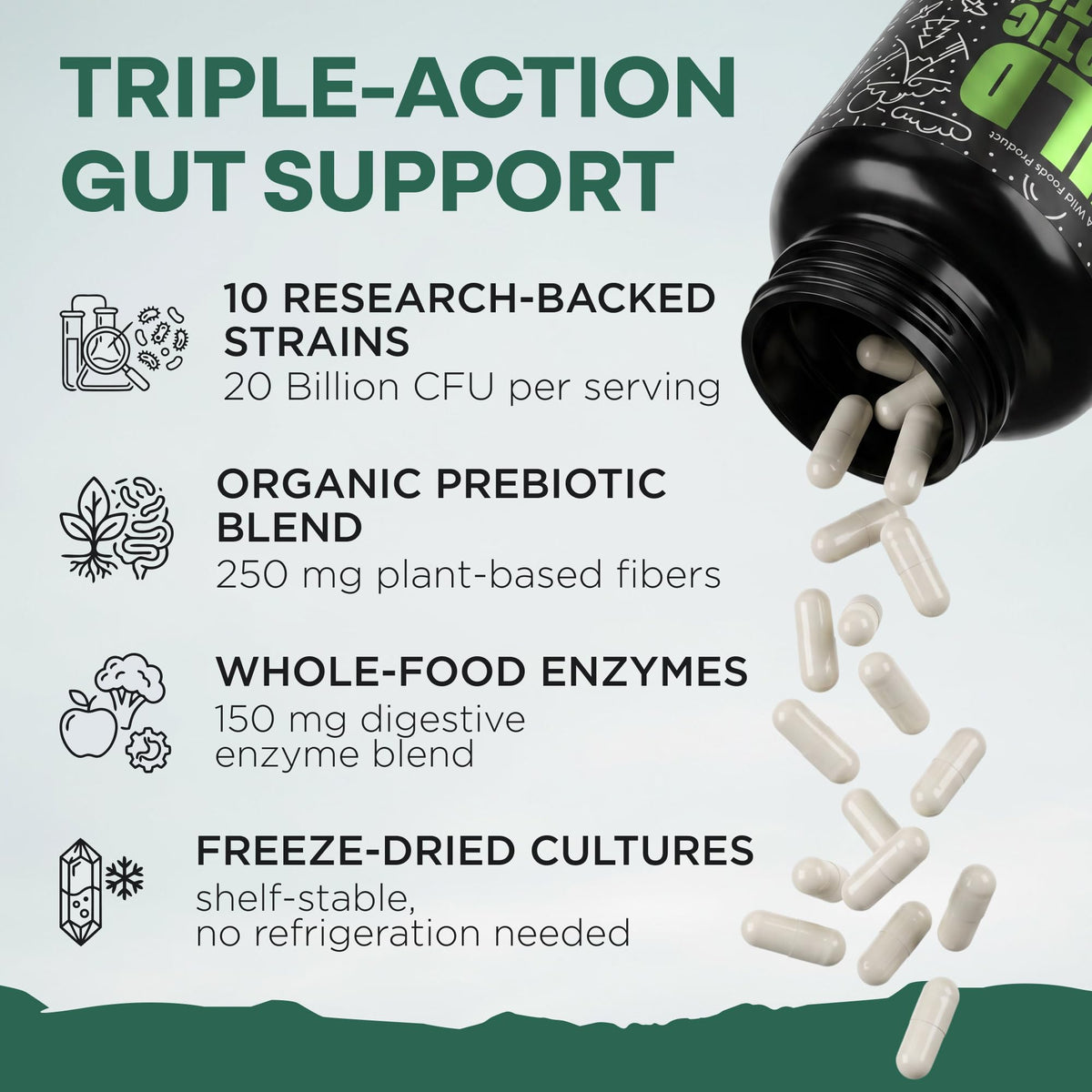 Wild Prebiotics and Probiotics with Digestive Enzymes | 20 Billion CFU - 10 Strains for Women & Men | Support Gut Health & Digestion Supplements | Non-GMO Prebiotic Fiber | 30 Capsules - FENGGESTORE20