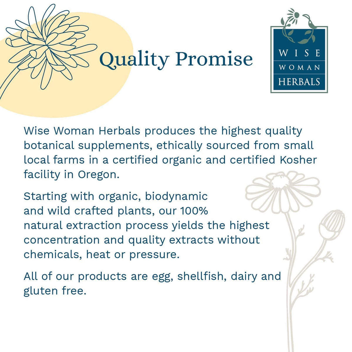 Wise Woman Herbals – Fiber Flow Capsules 120 Count – Supports Healthy Digestive Function, Gut Health, Bowel Health and Regularity - FENGGESTORE20