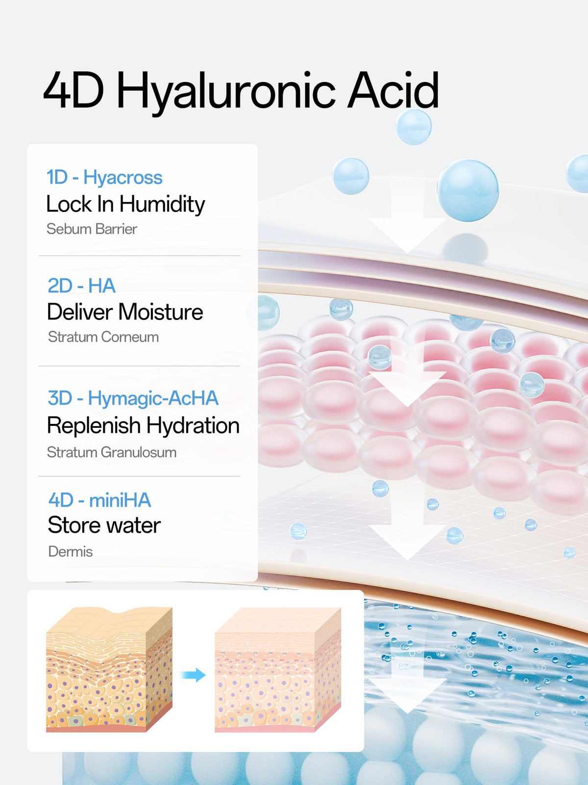 WNP Hyaluronic Acid Serum 3% for Face with 4D Multi-Layer Hydration | Ultra Hydrating Anti-Aging Serum | Moisturizer for Dry & Sensitive Skin - FENGGESTORE20