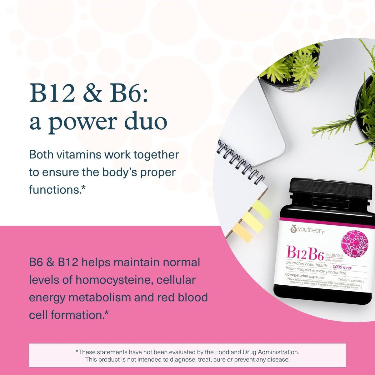 Youtheory B12B6 - Vitamin B12 & B6 - Supports Mood, Nervous System & Metabolism* - Aids Memory & Stress Management* - FENGGESTORE20