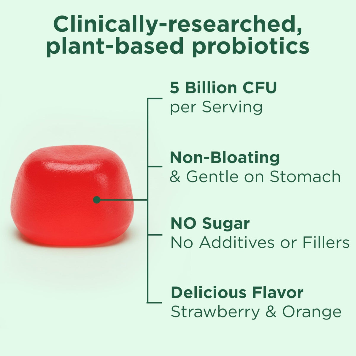 Yuve Natural Sugar Free Probiotic Gummies 5 Billion CFU, Helps with Constipation, Bloating & Leaky Gut - Vegan, Gluten-Free & Non-GMO - 60ct - FENGGESTORE20
