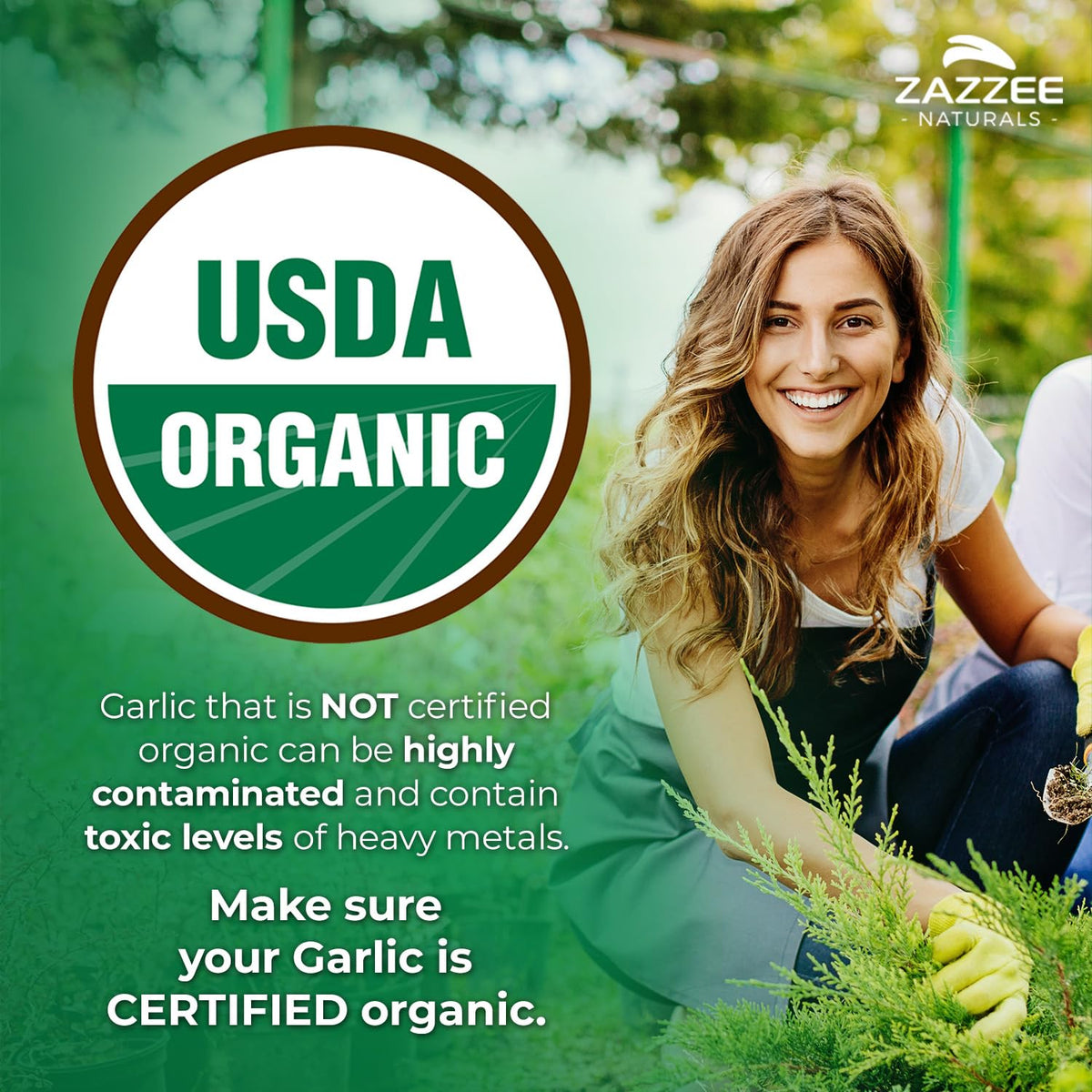 Zazzee USDA Organic Odorless Garlic 20:1 Extract, 1% Allicin, 100 Vegan Capsules, 3+ Month Supply, Allium Sativum, Immune, Circulation & Heart Health Support - FENGGESTORE20