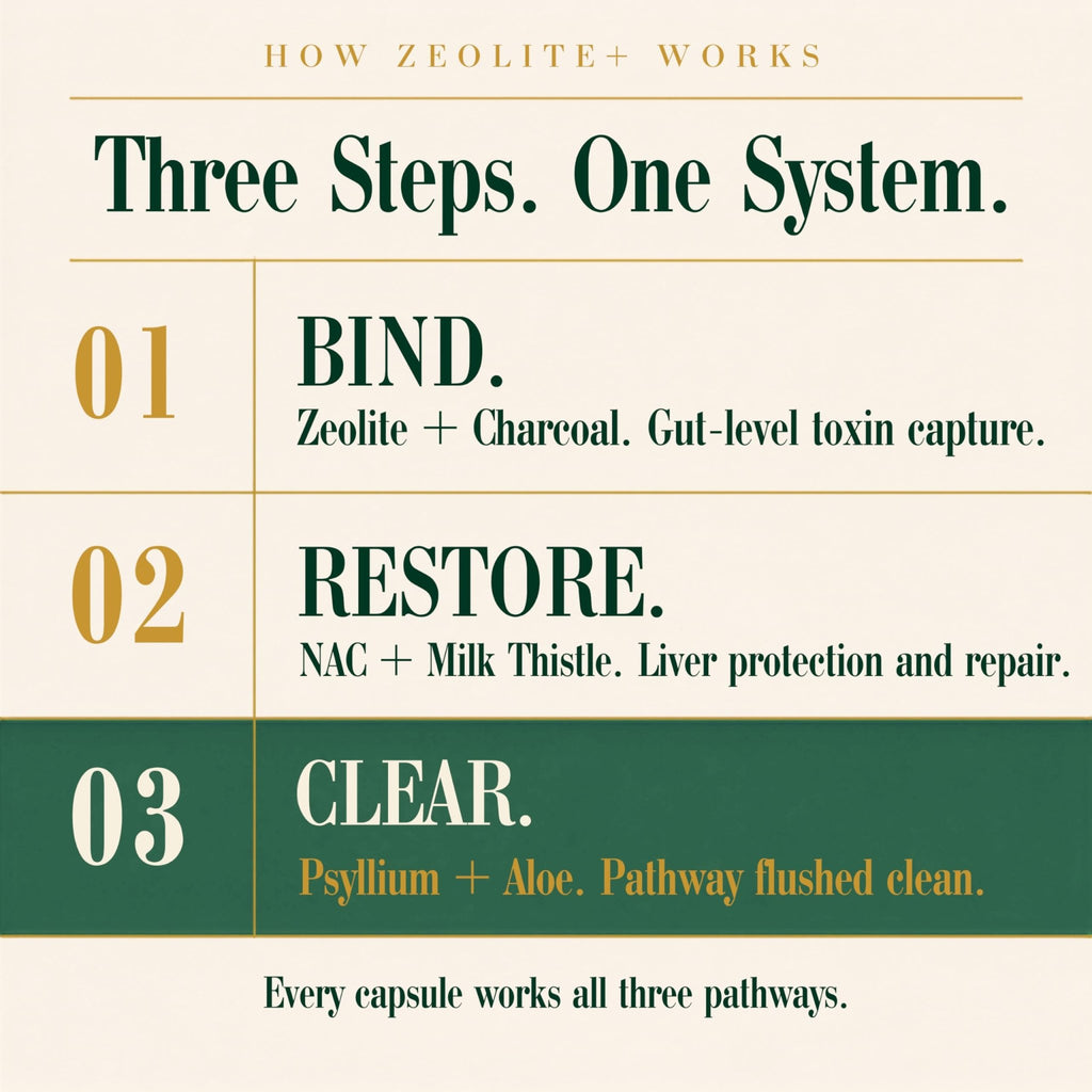 Zeolite Binder Detox – 8-in-1 Clinoptilolite Microplastics & Full Body Detox Cleanse with Activated Charcoal, NAC & Milk Thistle – Liver Cleanse & Repair - FENGGESTORE20