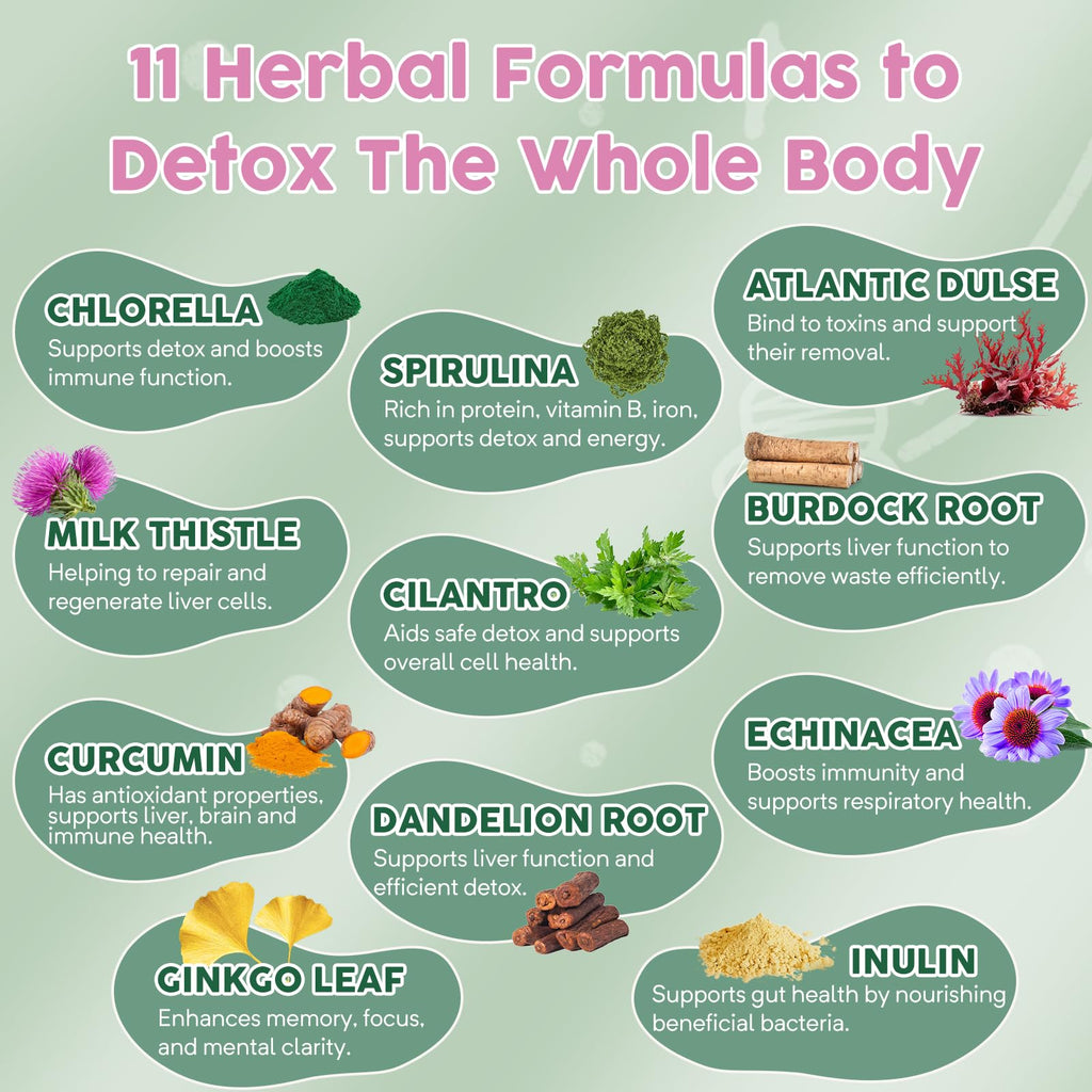 Zeolite Detox for Kids and Adults, Herbal Detox with 800mg DHA, 500mg Inulin, Probiotics & Vitamin B12, D3, C, B6, Cilantro Extract Cleanse to Support Brain, - FENGGESTORE20